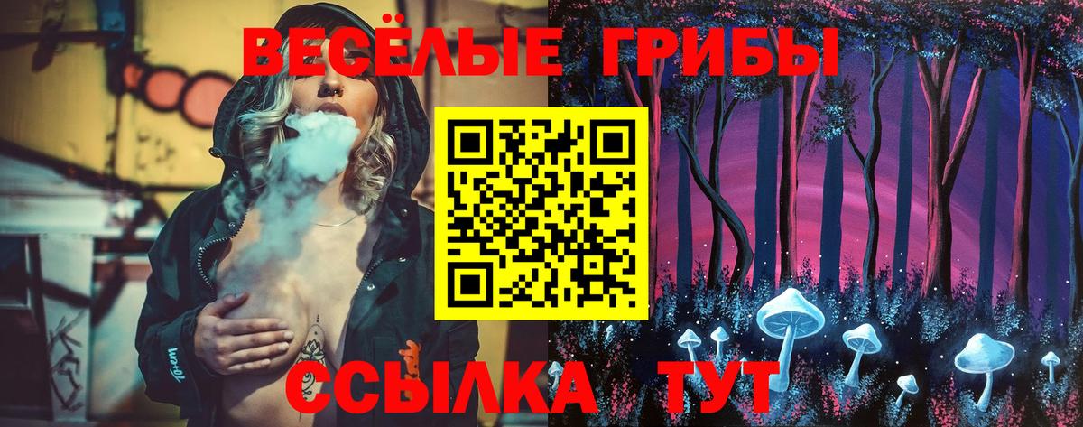 Псилоцибиновые грибы Psilocybe Ессентуки
