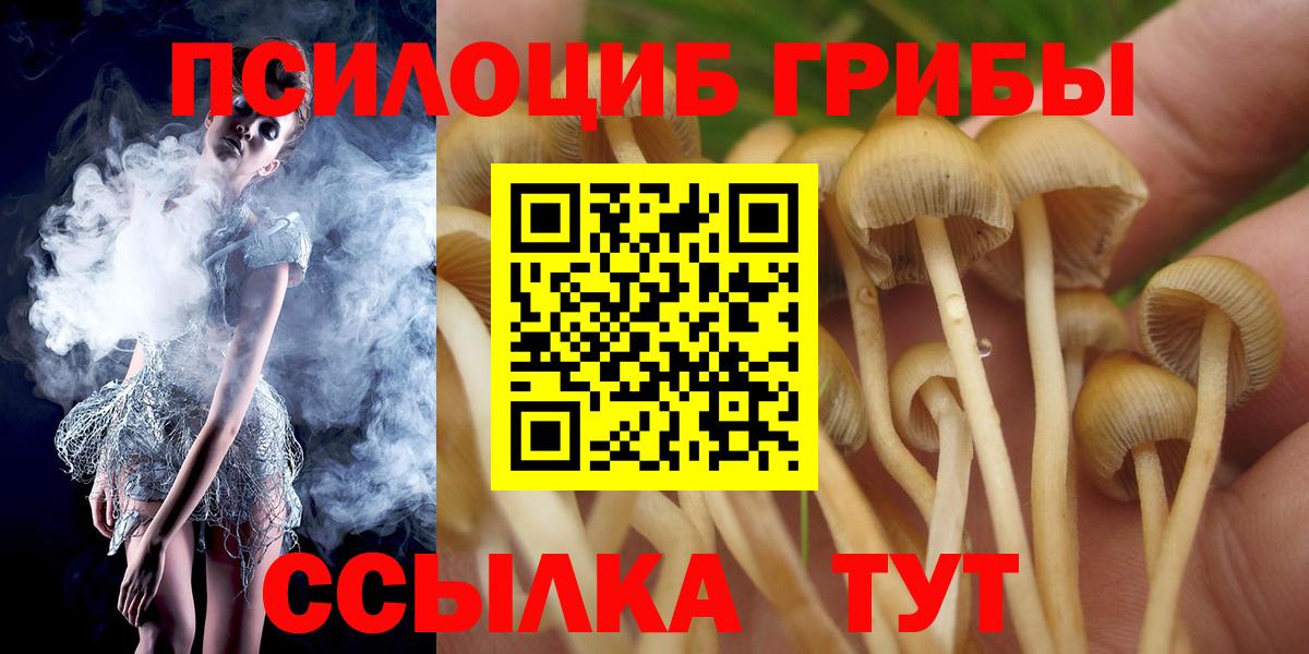Псилоцибиновые грибы GOLDEN TEACHER  Псилоцибиновые грибы MAGIC MUSHROOMS  Вход с VPN  Ессентуки 