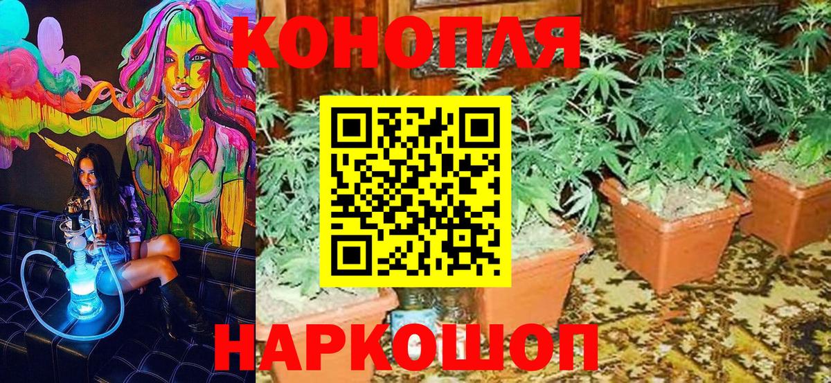 Марихуана Amnesia  Каннабис план  Бошки марихуана план  Вход с VPN  Ессентуки 